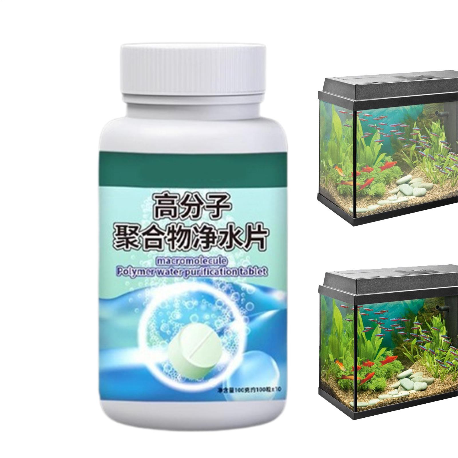 Aquarium Fish Betta - Fish Can Algae Remover Aquarium Water