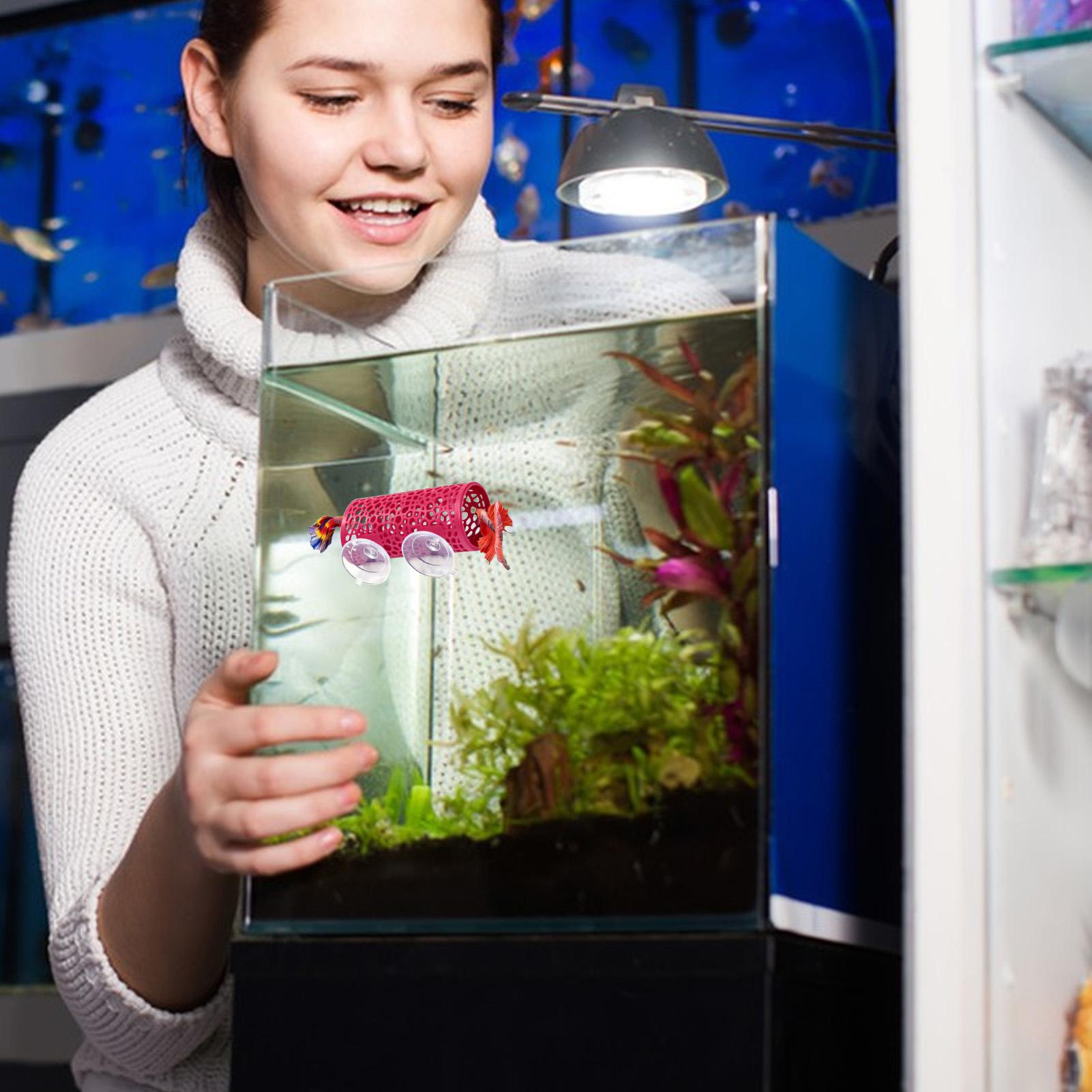 Aquarium Fish Betta - Betta Habitat Resting Shelter Ornament Fish