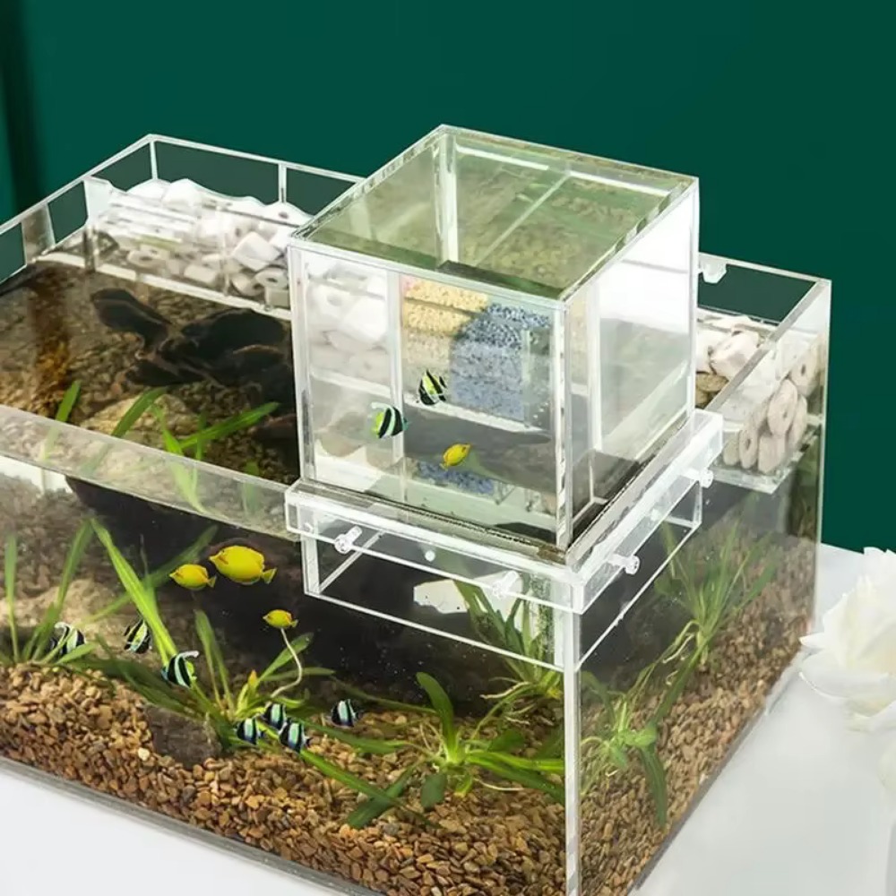 Aquarium Fish Medicine - Landscaping Negative Pressure Fish Tank Unique