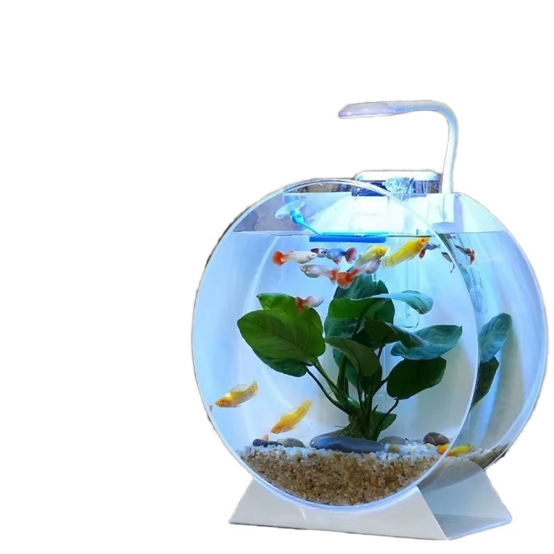 Aquarium Fish Sale - Hot Sale Modern Eco-Friendly Acrylic Fish