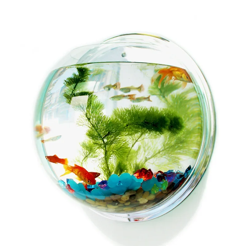 Aquarium Fish Betta - Pinsjar Acrylic Fish Bowl Wall Hanging