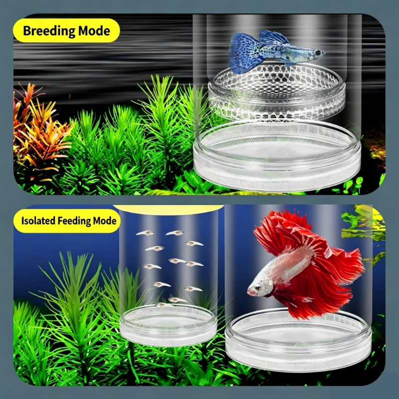 Aquarium Fish Betta - Transparent Floating Aquarium Hatch Box, Multifunctional