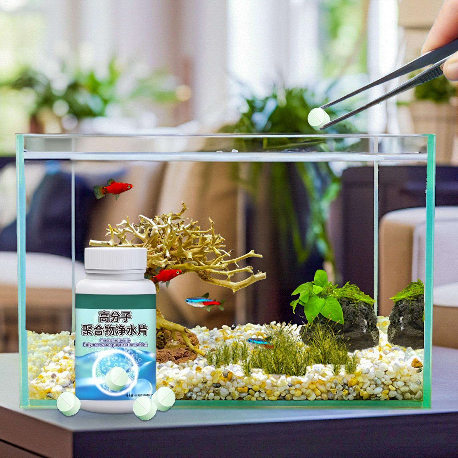 Fish Can Algae Remover Aquariu - огляд і ціна Aquarium Fish Betta