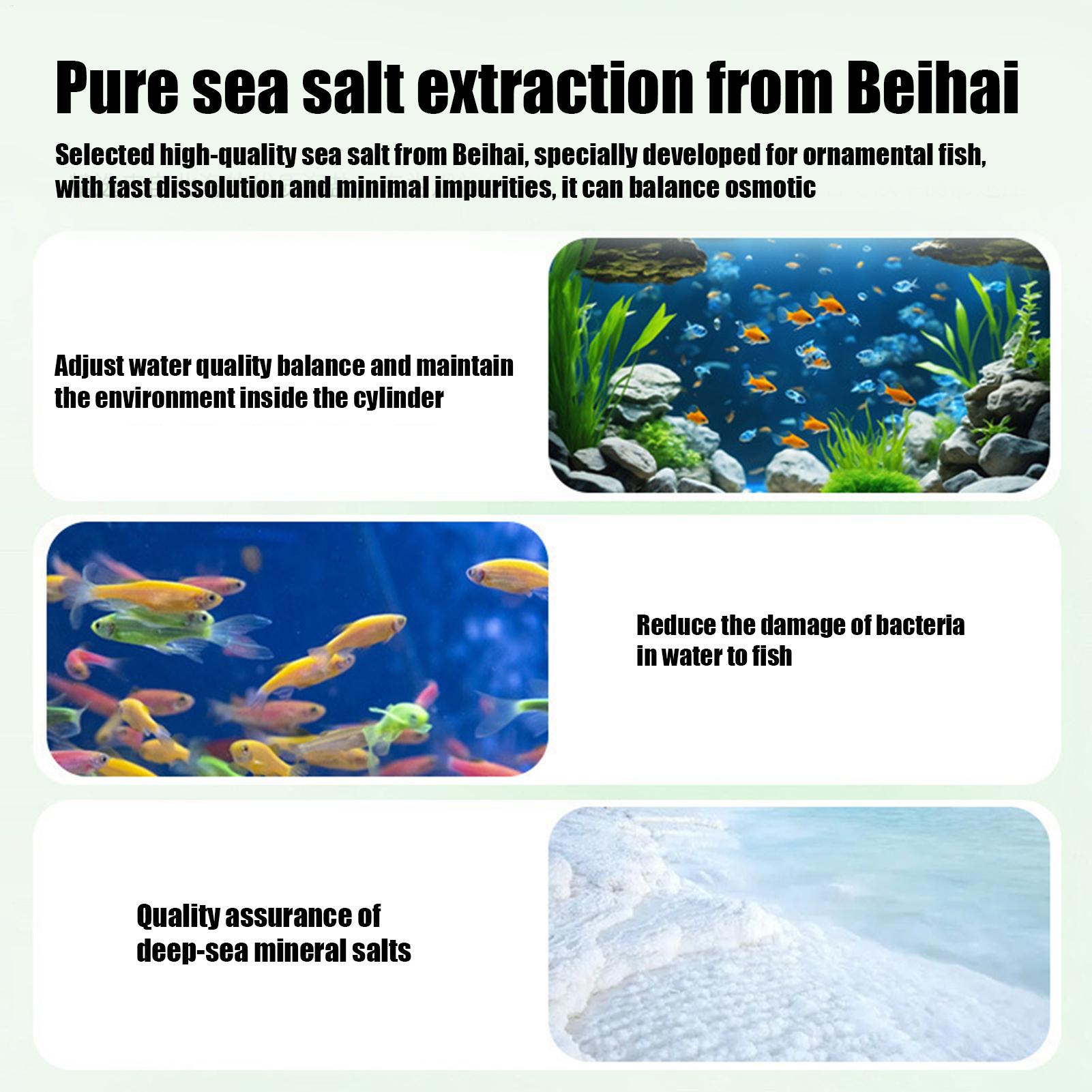 Fish Can Algae Remover Aquariu - огляд і ціна Aquarium Fish Betta