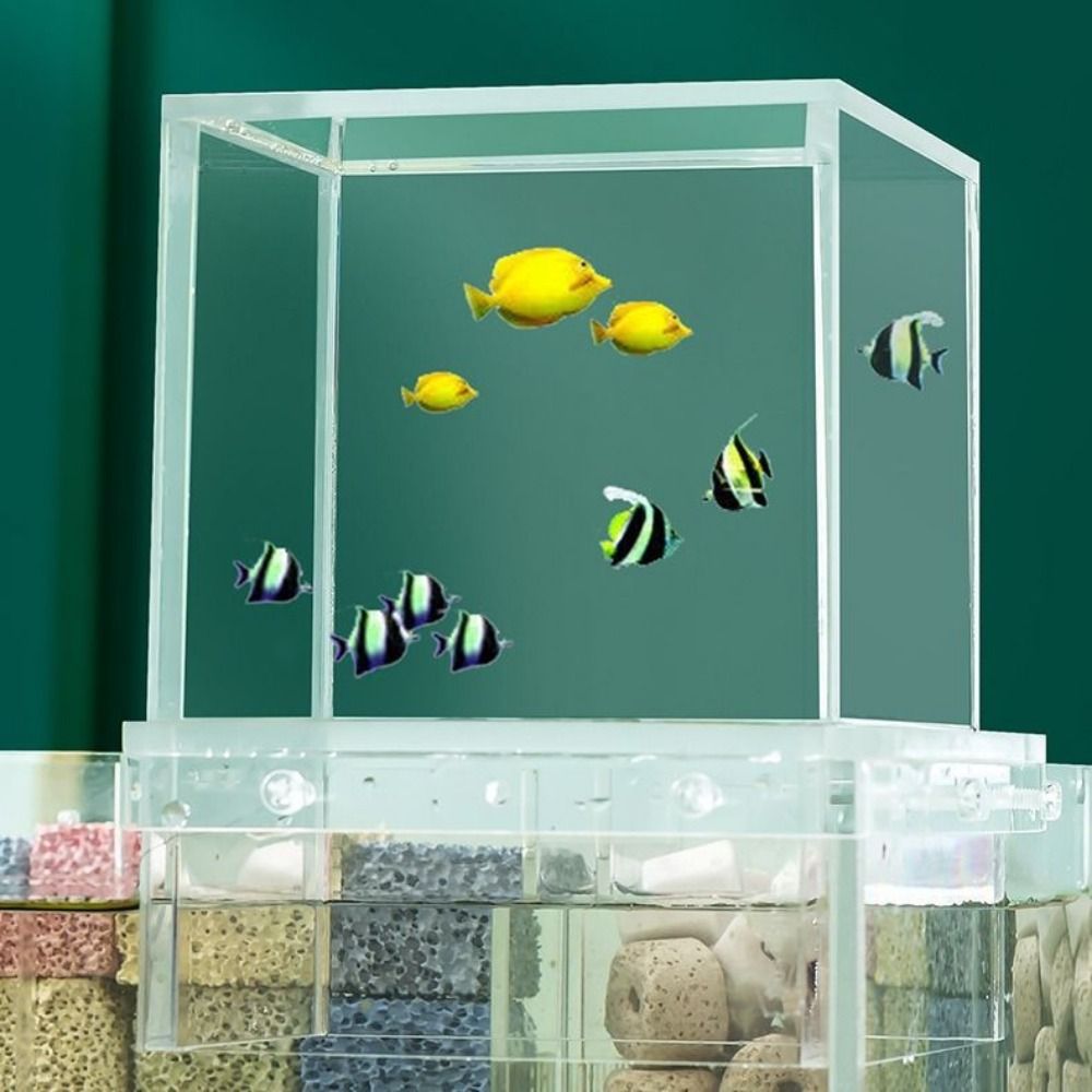 Landscaping Negative Pressure  - огляд і ціна Aquarium Fish Medicine