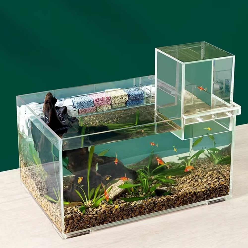 Landscaping Negative Pressure  - огляд і ціна Aquarium Fish Medicine