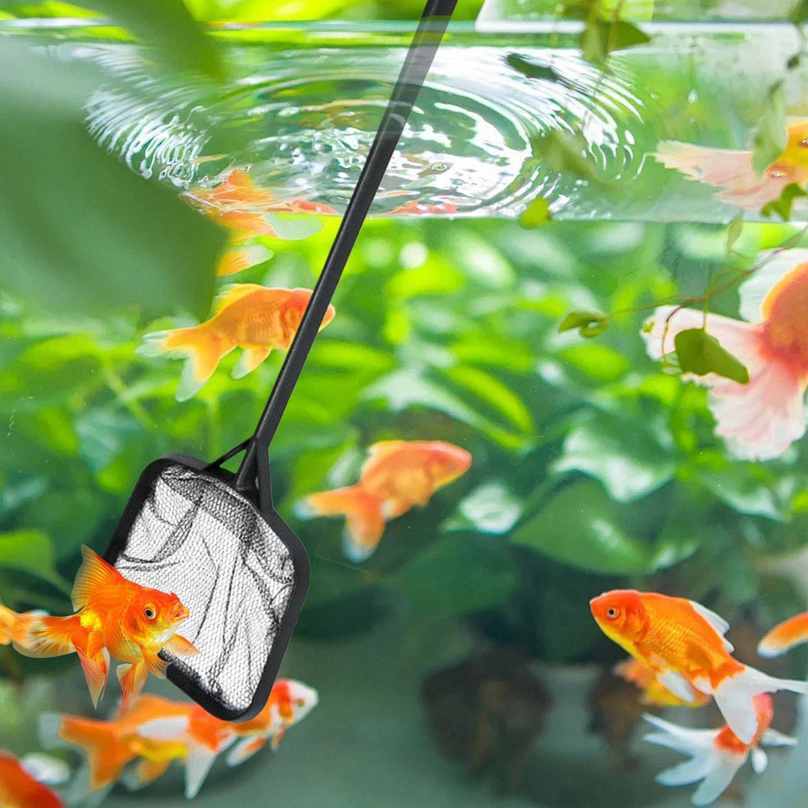 Pool Nets for Cleaning Portabl - огляд і ціна Aquarium Fish Accessories