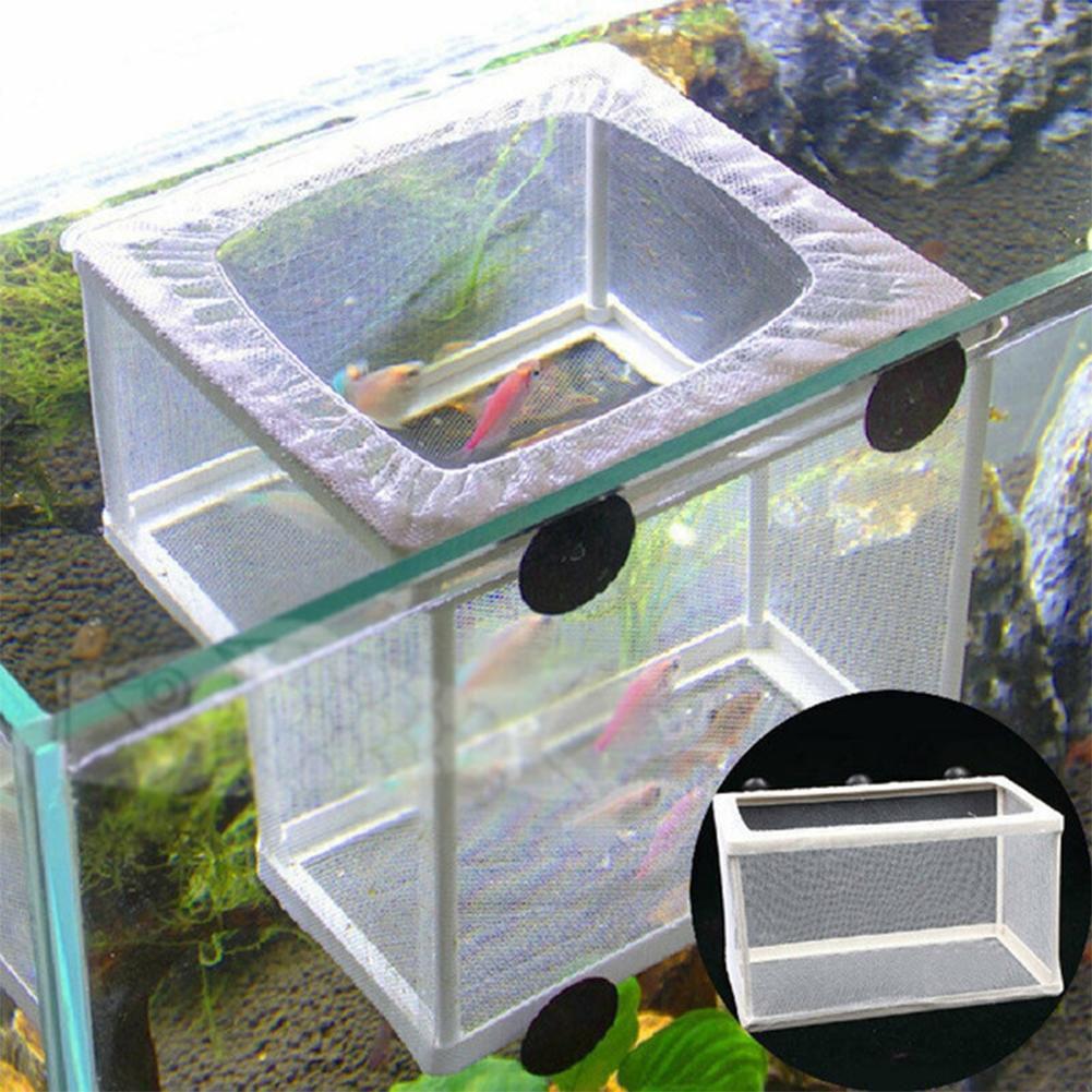 Aquarium Fish Breeder Box with - огляд і ціна Aquarium Fish Medicine
