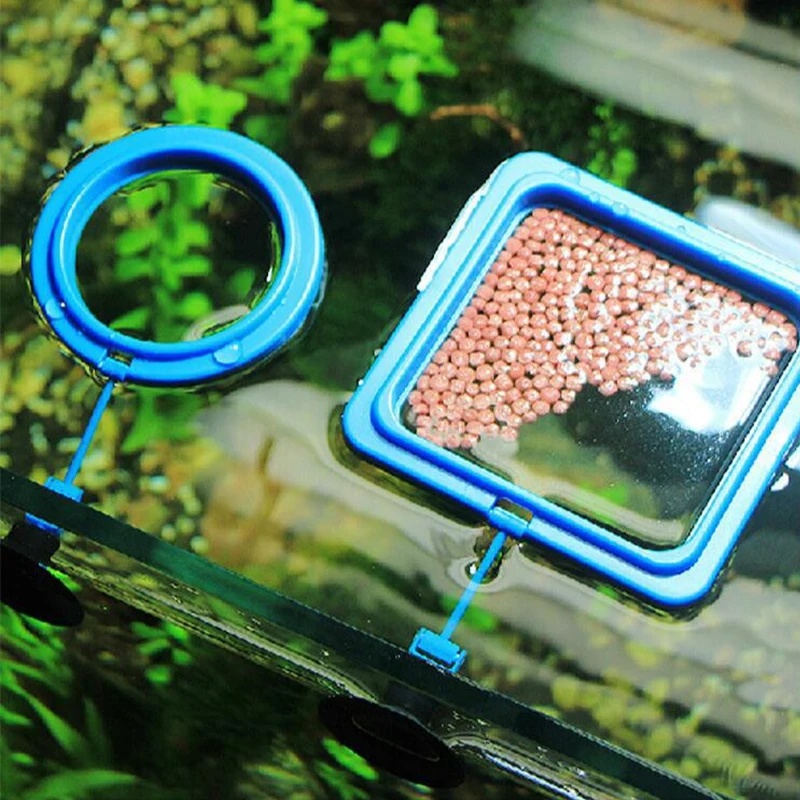 Floating Aquarium Fish Feeding - огляд і ціна Aquarium Fish Medicine