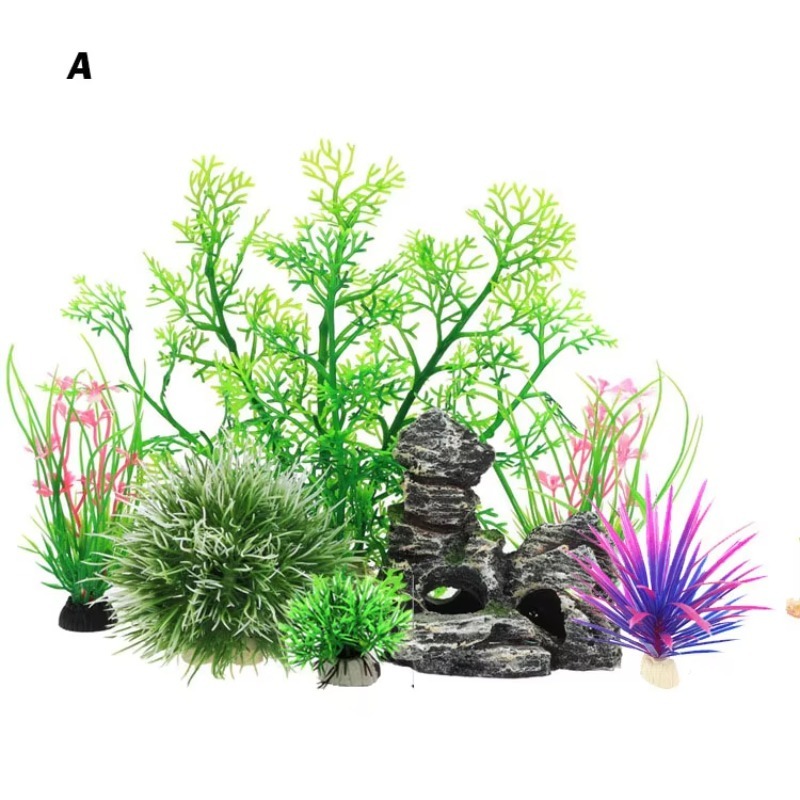 10pcs Hot Selling New Arrival  - огляд і ціна Aquarium Fish Sale