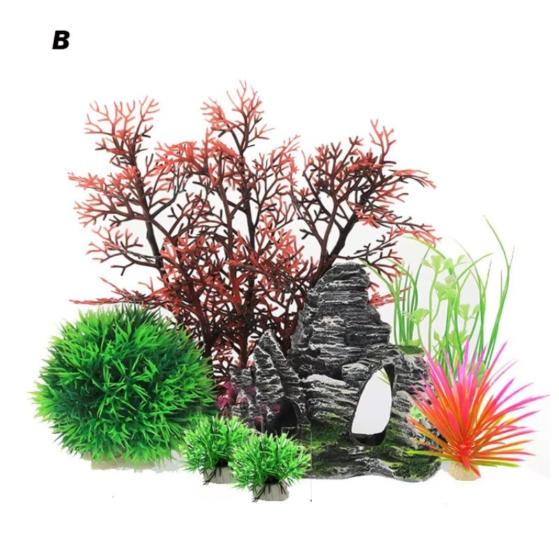 10pcs Hot Selling New Arrival  - огляд і ціна Aquarium Fish Sale