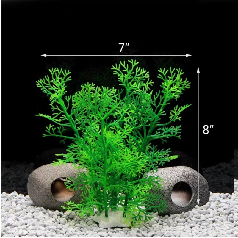 10pcs Hot Selling New Arrival  - огляд і ціна Aquarium Fish Sale
