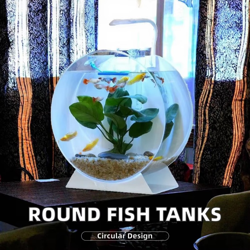 Hot Sale Modern Eco-Friendly A - огляд і ціна Aquarium Fish Sale