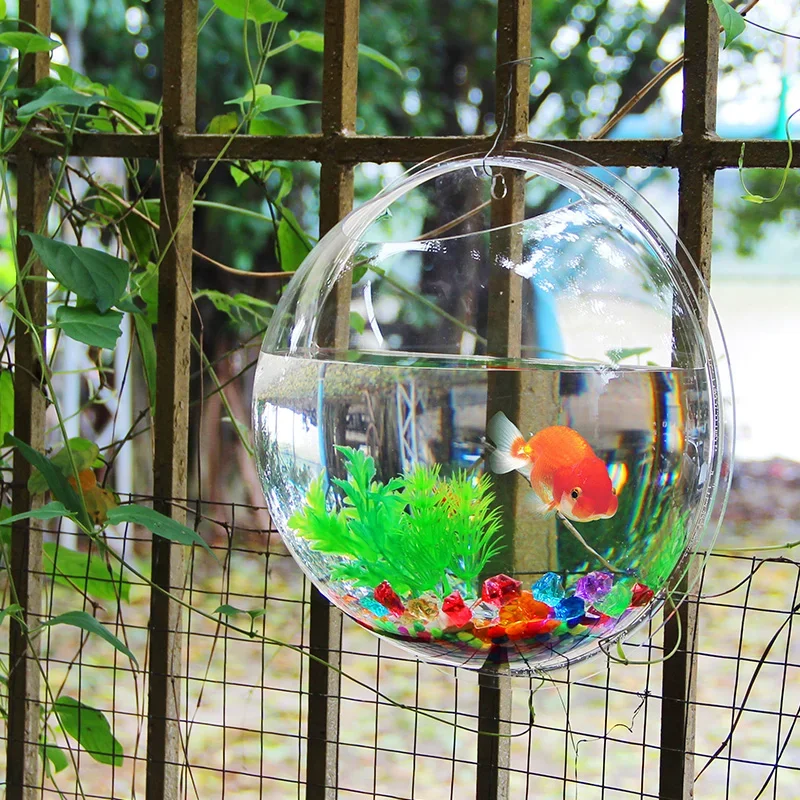 Pinsjar Acrylic Fish Bowl Wall - огляд і ціна Aquarium Fish Betta