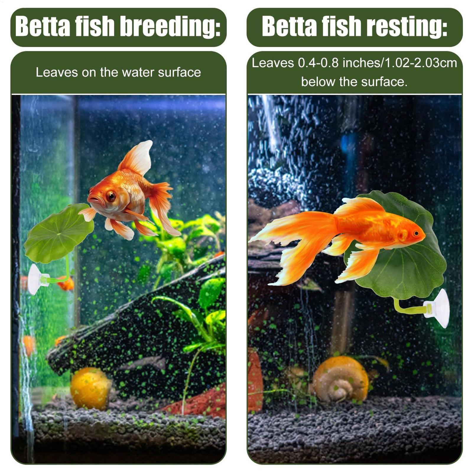 Betta Fish Hammock 5 Pieces Ad - огляд і ціна Aquarium Fish Betta