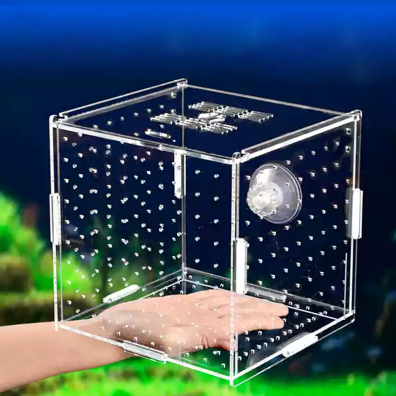 Aquarium Isolation Box Fish Ta - огляд і ціна Aquarium Fish Medicine