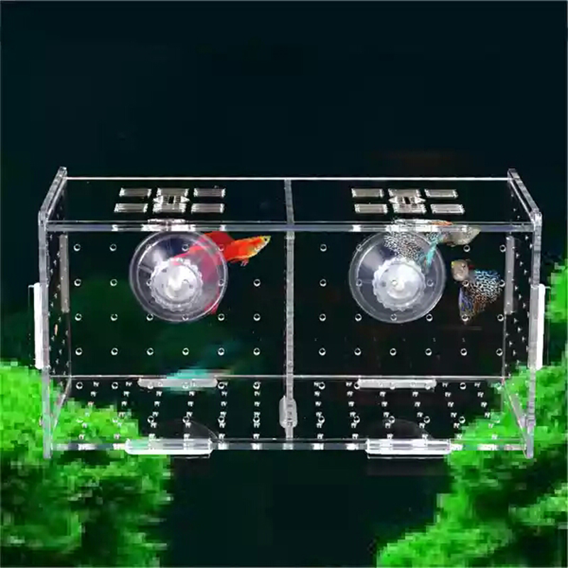 Aquarium Isolation Box Fish Ta - огляд і ціна Aquarium Fish Medicine