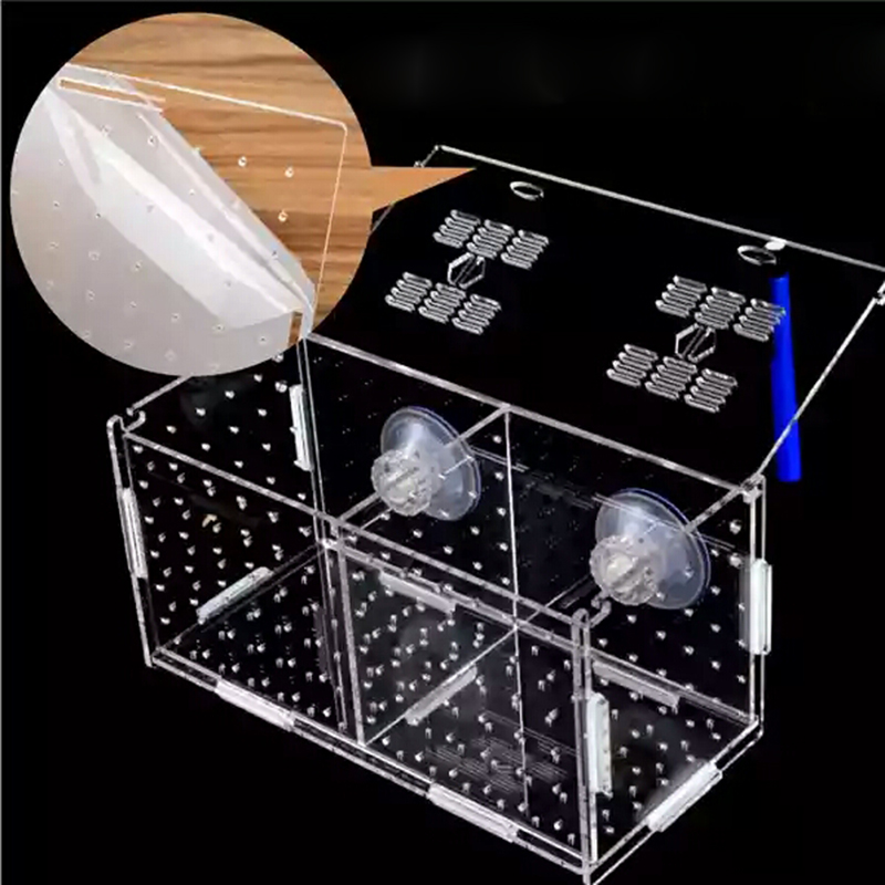 Aquarium Isolation Box Fish Ta - огляд і ціна Aquarium Fish Medicine