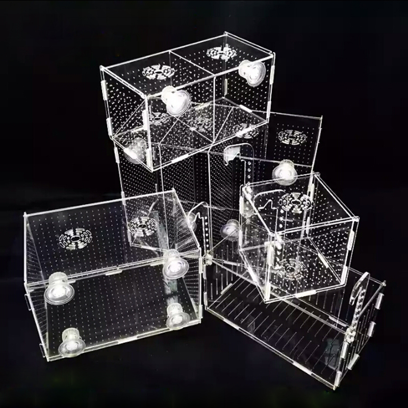 Aquarium Isolation Box Fish Ta - огляд і ціна Aquarium Fish Medicine