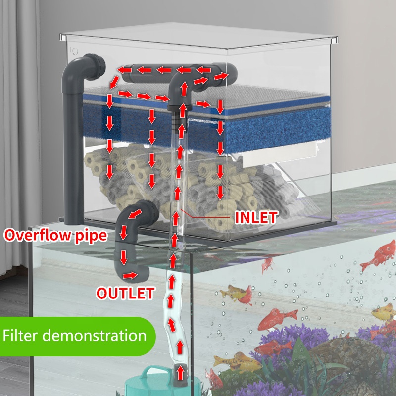 Factory Direct Sales Aquarium  - огляд і ціна Aquarium Fish Sale